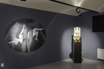 Janja Prokić a Michaela Karásková: Hidden Place, INDUSTRIAL Gallery, Ostrava - 2
